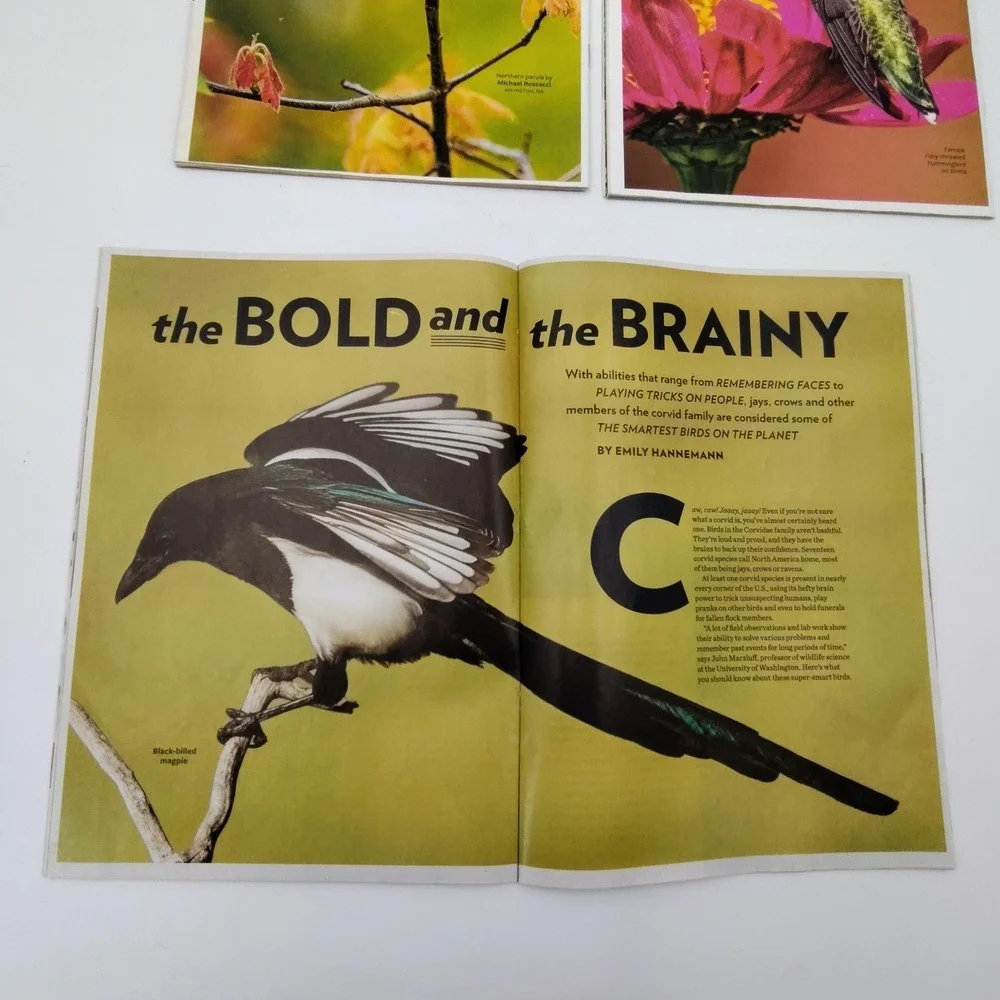 N/A ✅🐦🪻🏵️lot birds